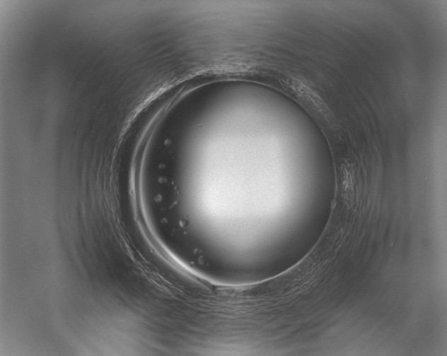 X0000058110684200509231026