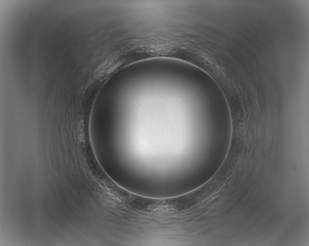 X0000058110689200509231026