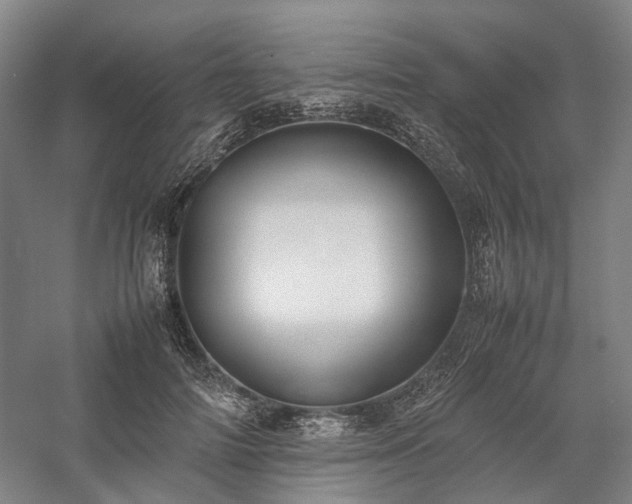X0000058110698200509231026