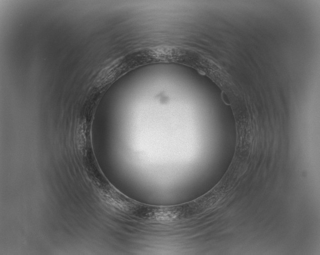 X0000058110702200509231026