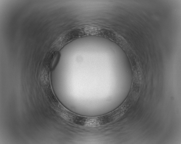 X0000058110705200509231026