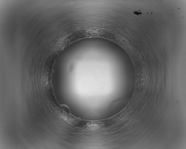 X0000058110706200509231026
