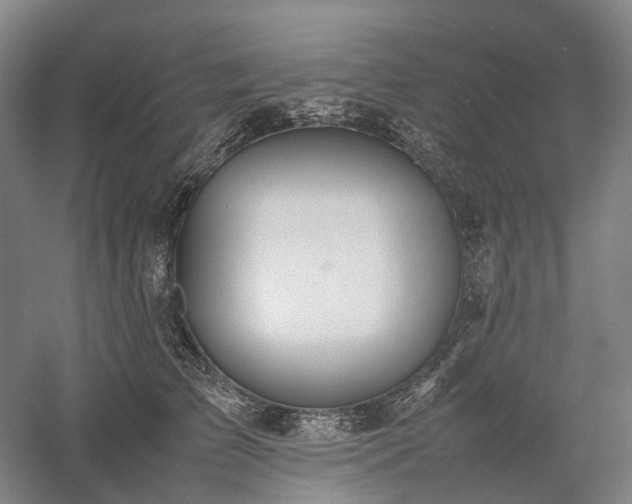 X0000058110709200509231026