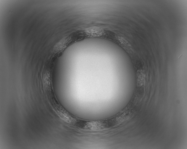 X0000058110713200509231026