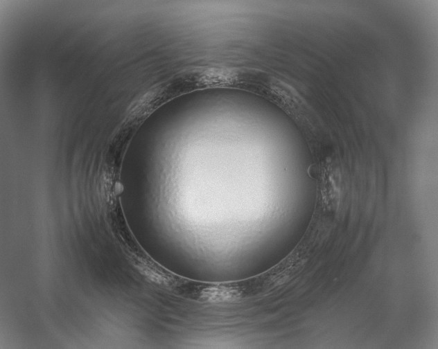 X0000058110714200509231026