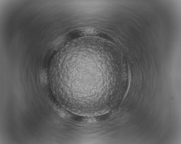 X0000058110715200509231026