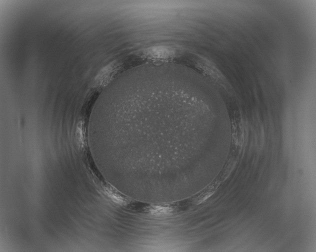 X0000058110718200509231026
