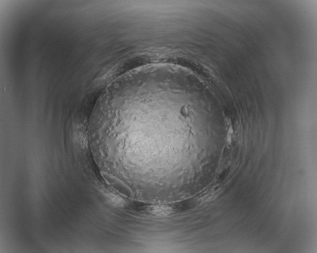 X0000058110719200509231026