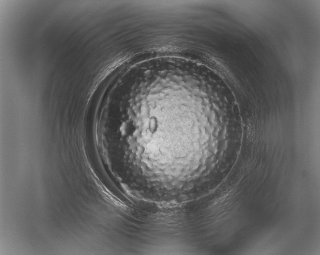 X0000058110725200509231025