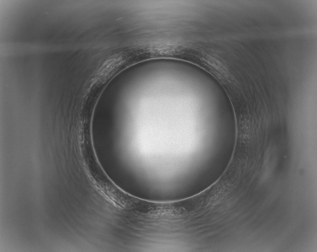 X0000058110738200509231025
