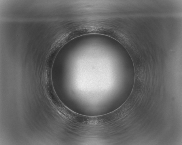 X0000058110740200509231025