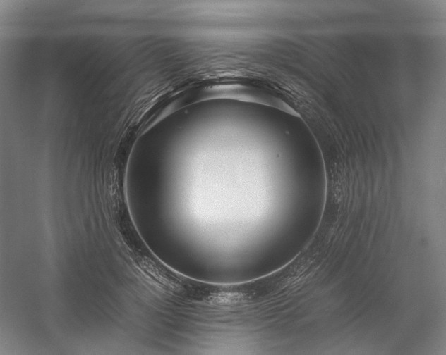 X0000058110748200509231025