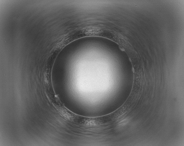 X0000058110755200509231026