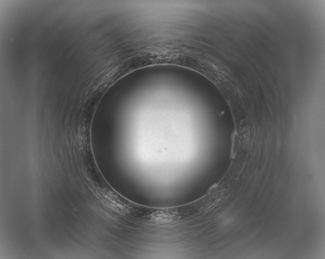 X0000058110756200509231026