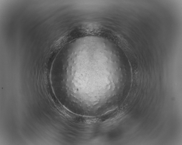 X0000058110757200509231026