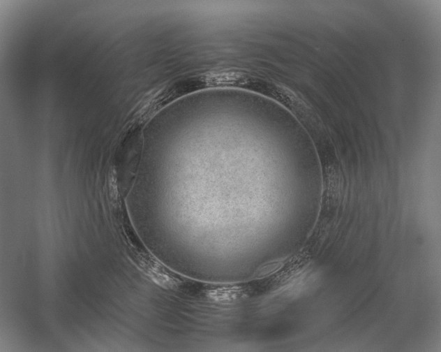 X0000058110761200509231026