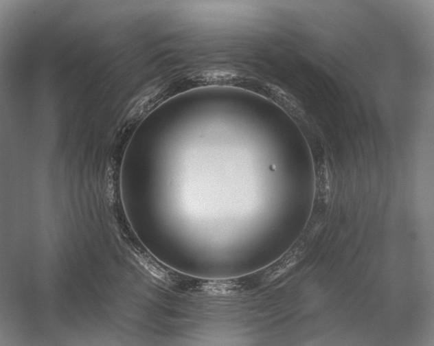 X0000058110762200509231026
