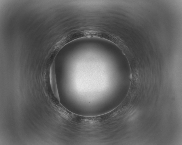 X0000058110763200509231026