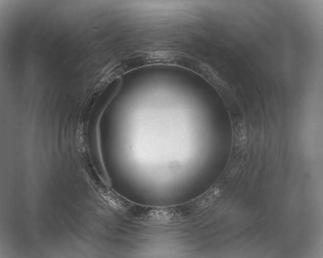 X0000058110764200509231026
