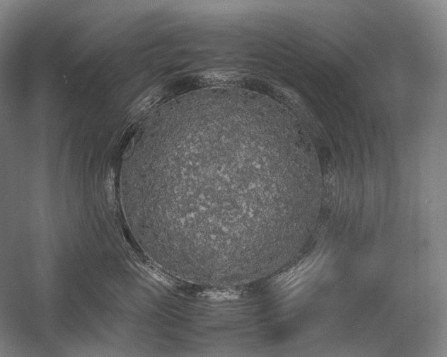 X0000058110765200509231026