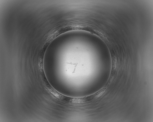 X0000058110766200509231026