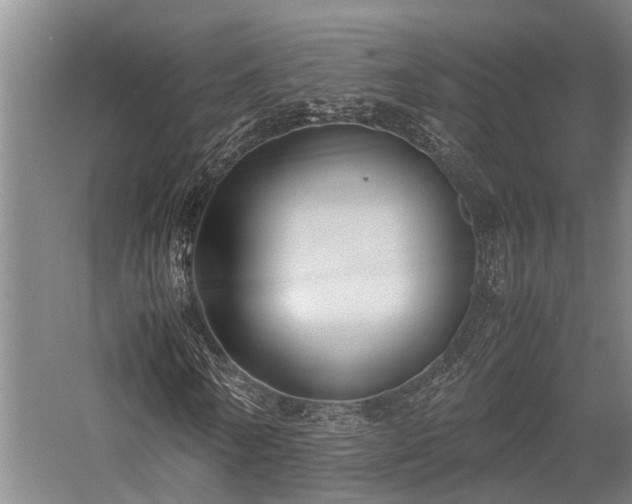 X0000058110770200509231025