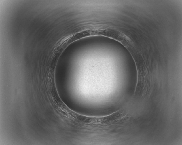 X0000058110773200509231025