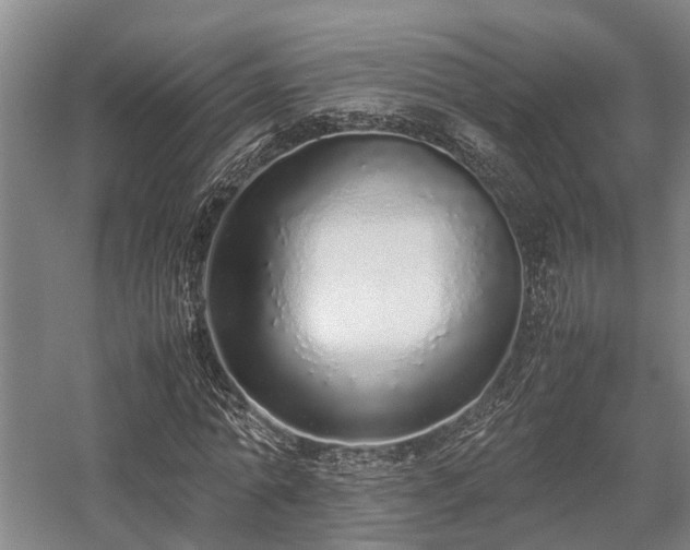 X0000058110774200509231025