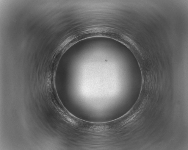 X0000058110778200509231025
