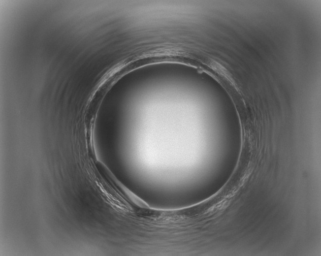 X0000058110781200509231025