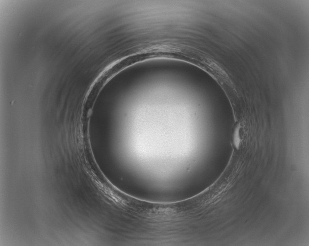 X0000058110784200509231025