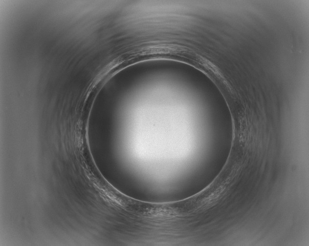 X0000058110786200509231025