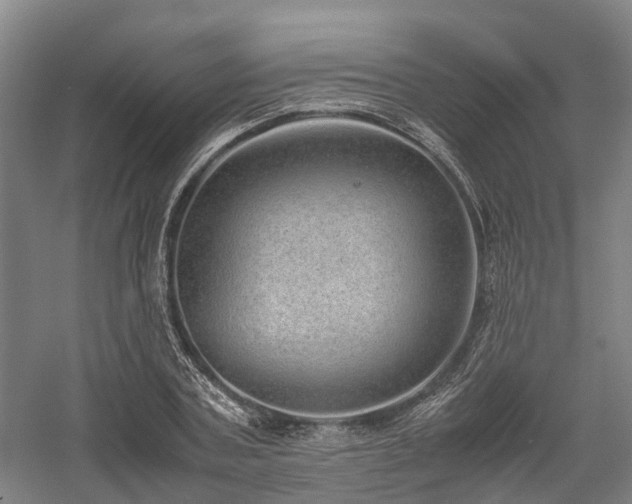 X0000058110787200509231025