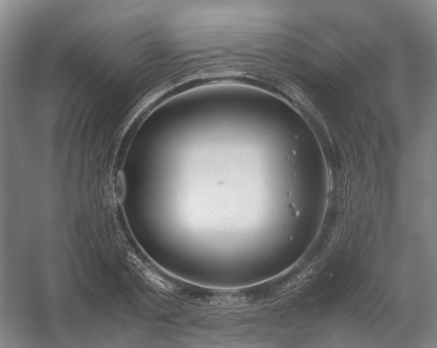 X0000058110789200509231025