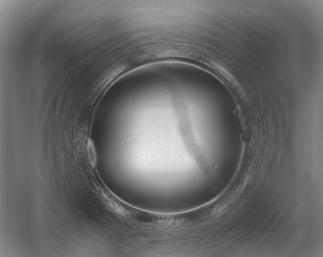 X0000058110793200509231025