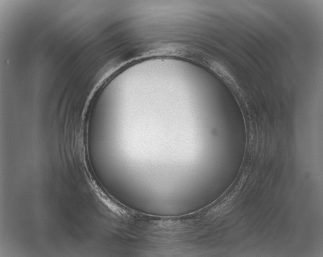X0000058110800200509231024