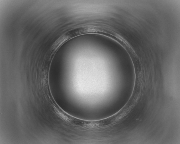 X0000058110801200509231024