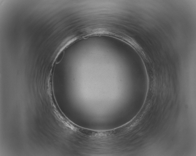 X0000058110806200509231024