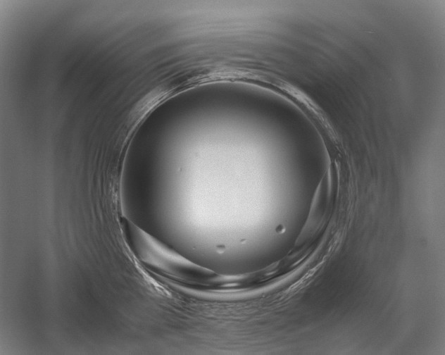 X0000058110809200509231024