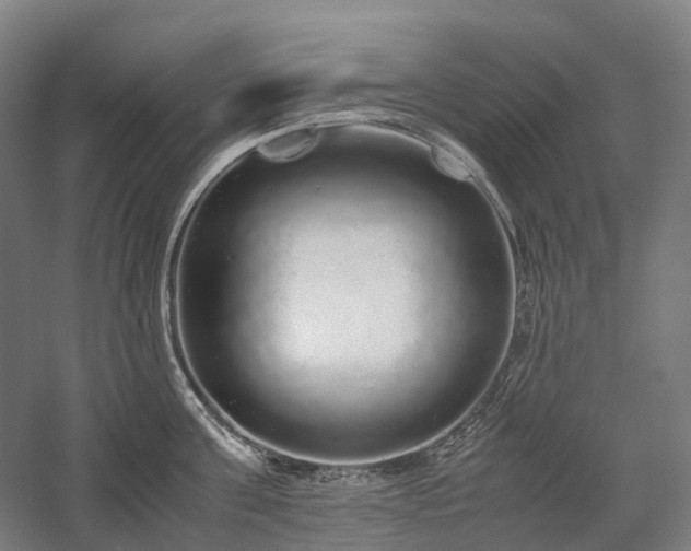 X0000058110811200509231024