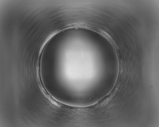 X0000058110812200509231024