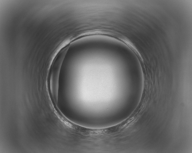 X0000058110813200509231024