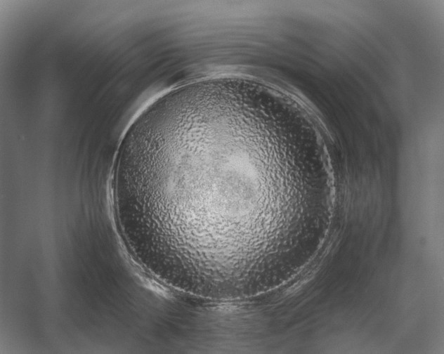 X0000058110814200509231024