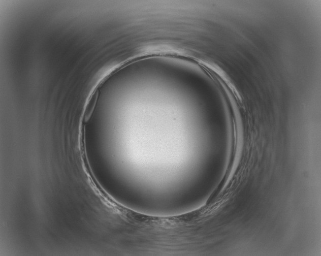 X0000058110815200509231024
