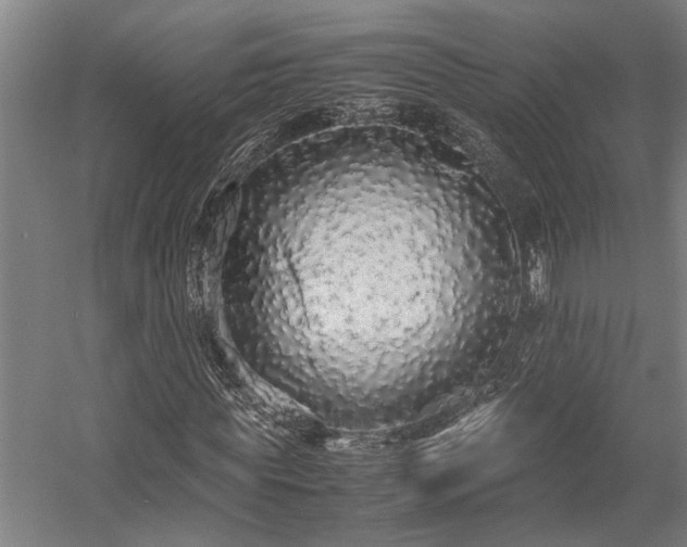 X0000058110819200509231023