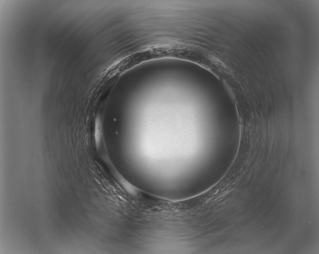 X0000058110822200509231023