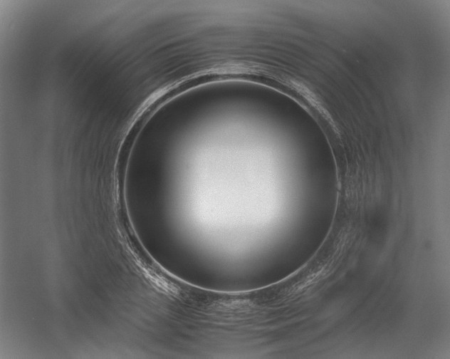 X0000058110837200509231024
