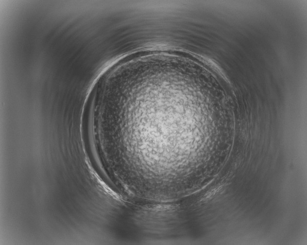 X0000058110839200509231024