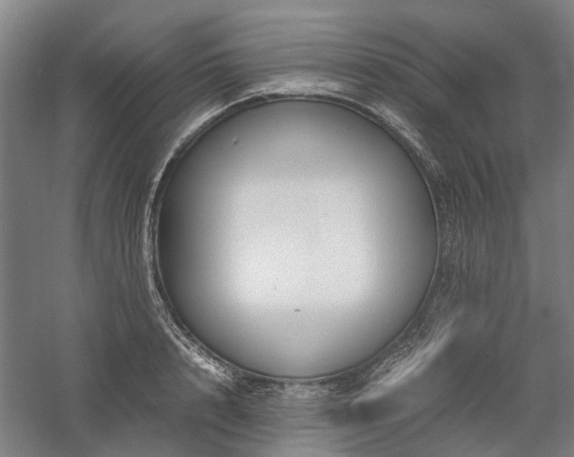 X0000058110848200509231024