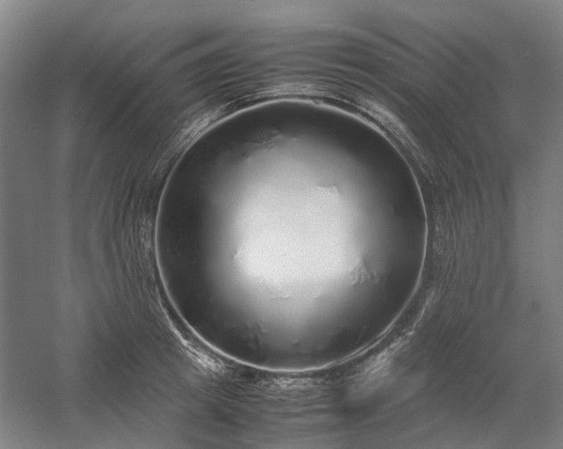 X0000058110849200509231024